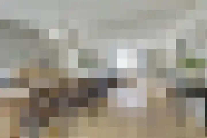 Bosbeeklaan 29 Baarlo thumbnail 11