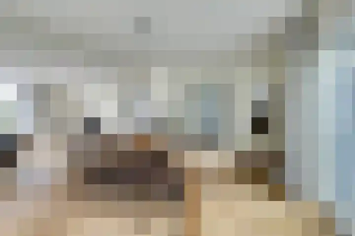 Bosbeeklaan 29 Baarlo thumbnail 12