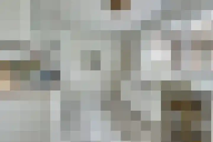 Bosbeeklaan 29 Baarlo thumbnail 14