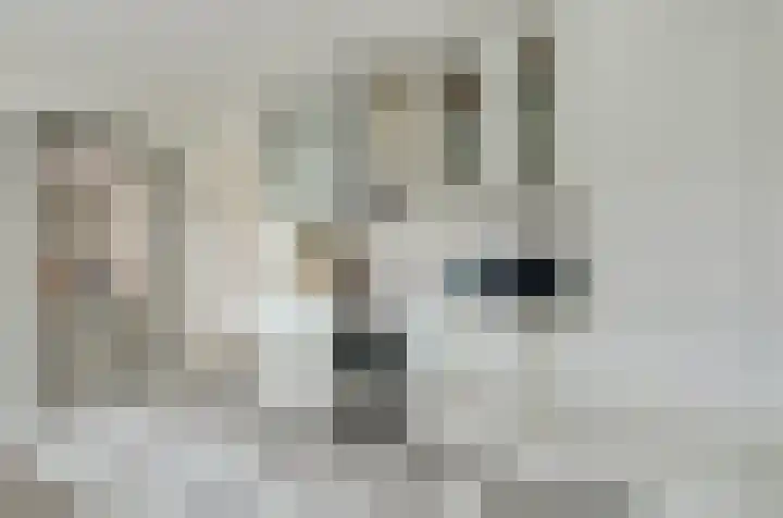 Bosbeeklaan 29 Baarlo thumbnail 16