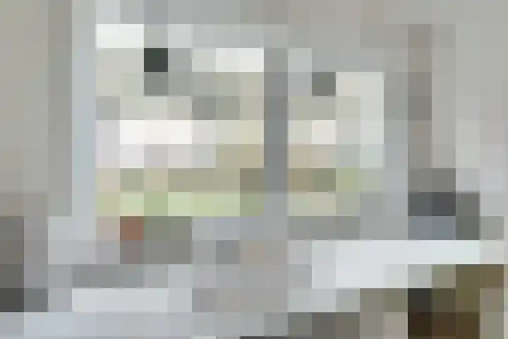 Bosbeeklaan 29 Baarlo thumbnail 18