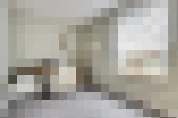 Bosbeeklaan 29 Baarlo thumbnail 21