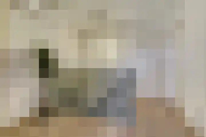 Bosbeeklaan 29 Baarlo thumbnail 22