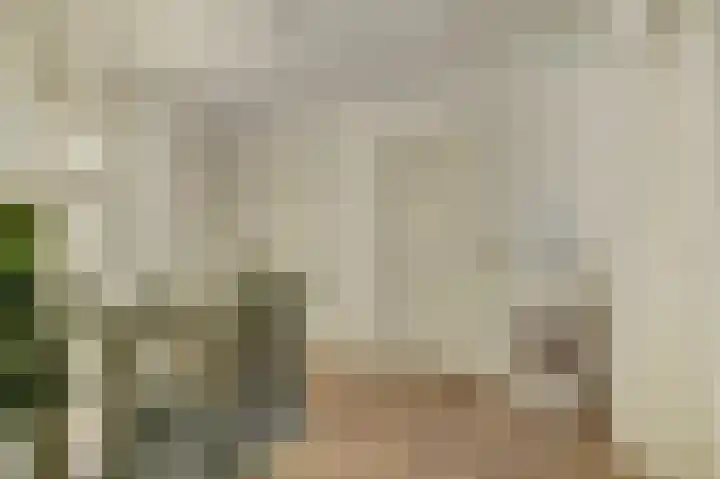 Bosbeeklaan 29 Baarlo thumbnail 23