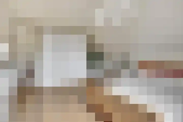 Bosbeeklaan 29 Baarlo thumbnail 26