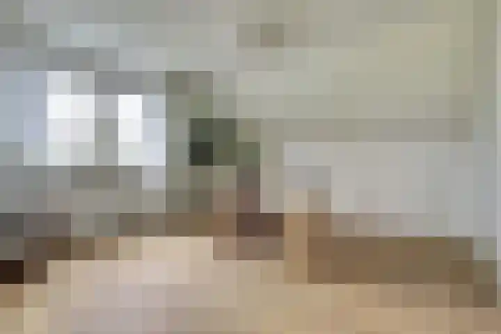 Bosbeeklaan 29 Baarlo thumbnail 33