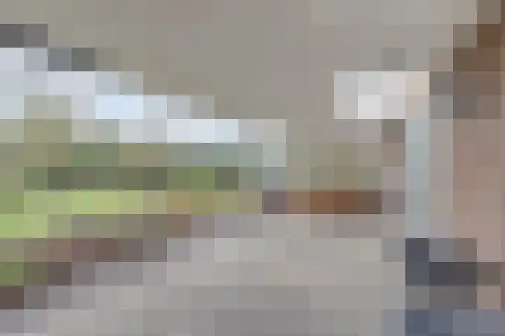 Bosbeeklaan 29 Baarlo thumbnail 34