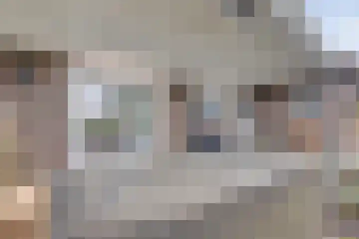Bosbeeklaan 29 Baarlo thumbnail 35