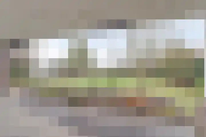 Bosbeeklaan 29 Baarlo thumbnail 36