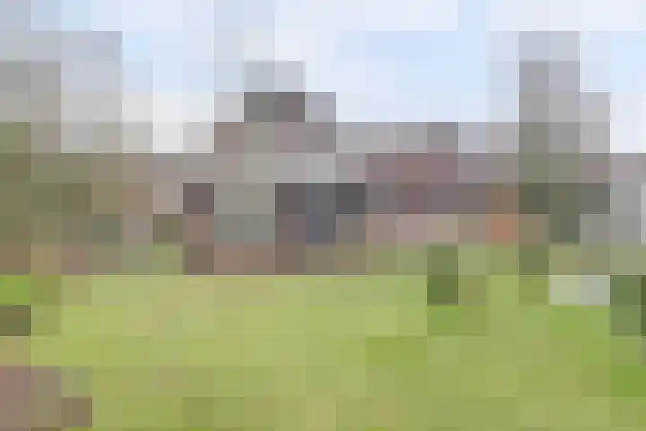 Bosbeeklaan 29 Baarlo thumbnail 37
