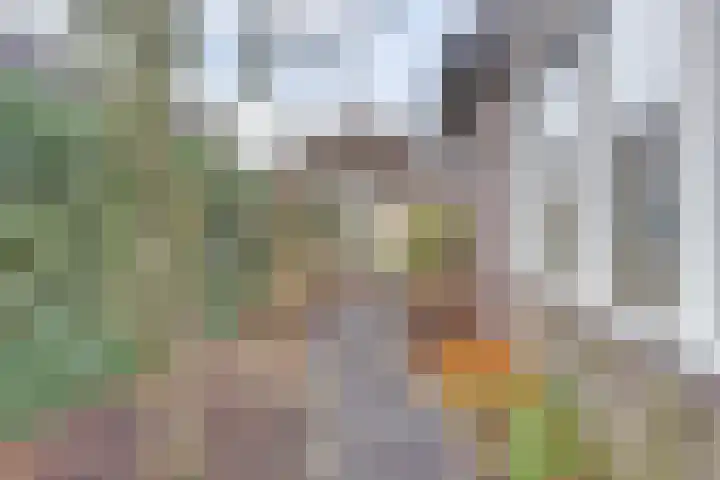 Bosbeeklaan 29 Baarlo thumbnail 38
