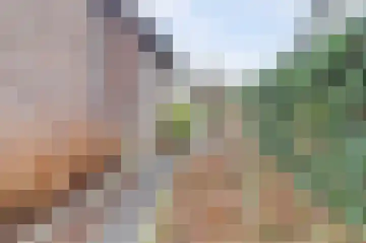 Bosbeeklaan 29 Baarlo thumbnail 39