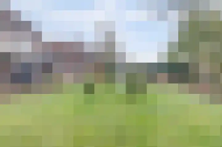 Bosbeeklaan 29 Baarlo thumbnail 40