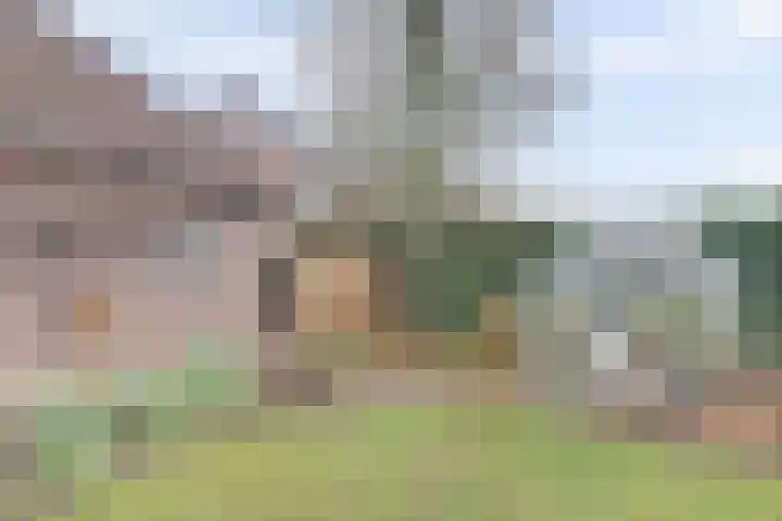 Bosbeeklaan 29 Baarlo thumbnail 41