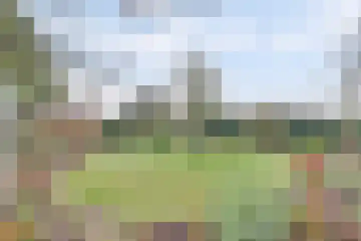Bosbeeklaan 29 Baarlo thumbnail 42