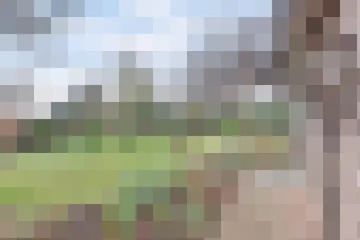 Bosbeeklaan 29 Baarlo thumbnail 43