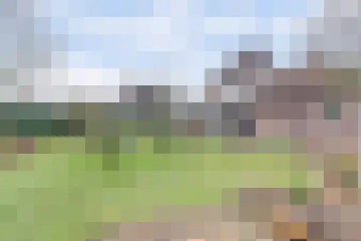 Bosbeeklaan 29 Baarlo thumbnail 44