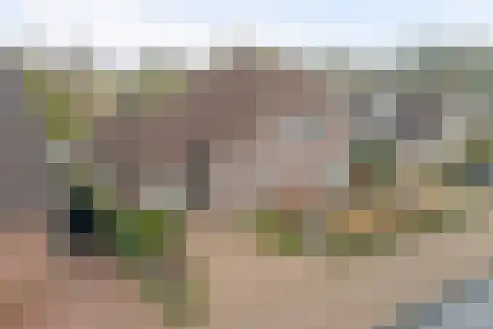 Bosbeeklaan 29 Baarlo thumbnail 48