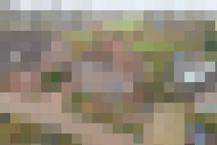 Bosbeeklaan 29 Baarlo thumbnail 49
