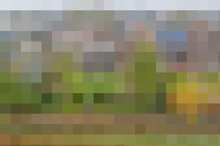 Bosbeeklaan 29 Baarlo thumbnail 52