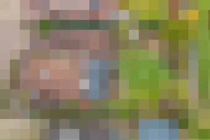 Bosbeeklaan 29 Baarlo thumbnail 53