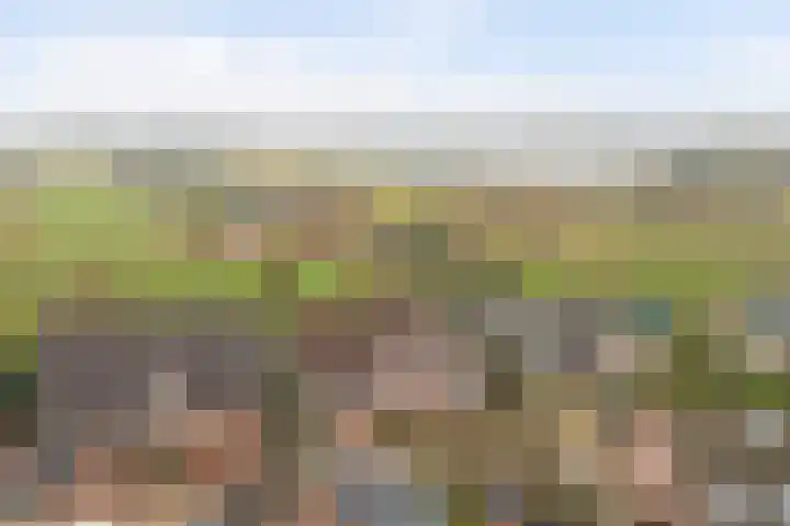 Bosbeeklaan 29 Baarlo thumbnail 54