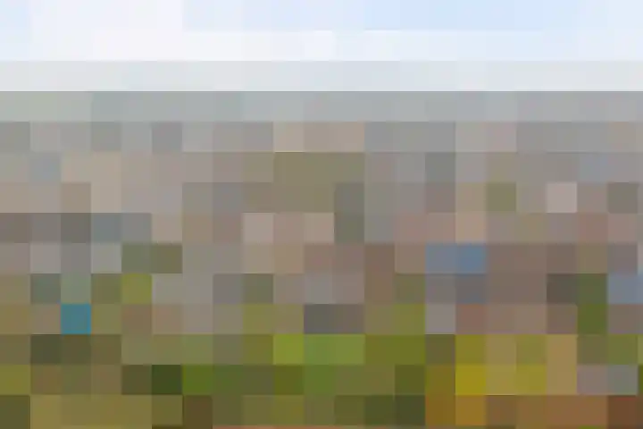 Bosbeeklaan 29 Baarlo thumbnail 55
