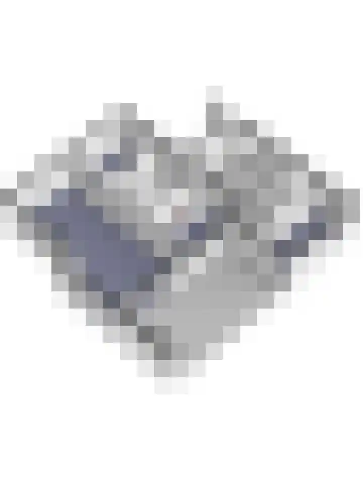 Bosbeeklaan 29 Baarlo thumbnail 58