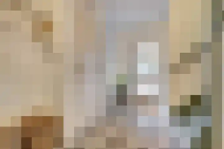 Bosbeeklaan 29 Baarlo thumbnail 6