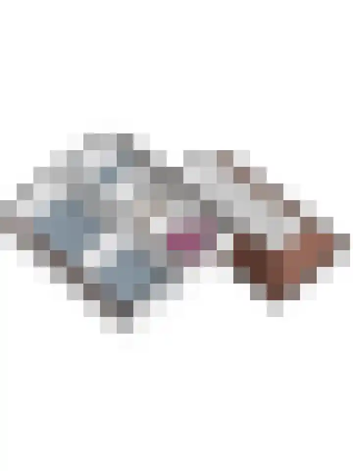 Bosbeeklaan 29 Baarlo thumbnail 60