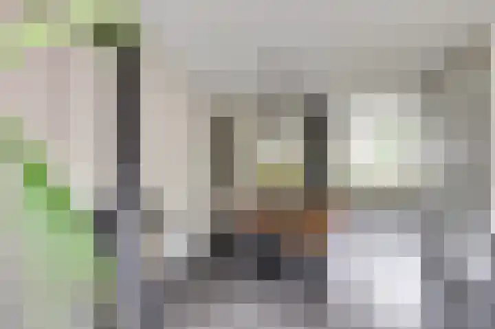 Bosbeeklaan 40 Baarlo thumbnail 10