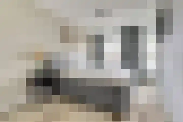 Bosbeeklaan 40 Baarlo thumbnail 20