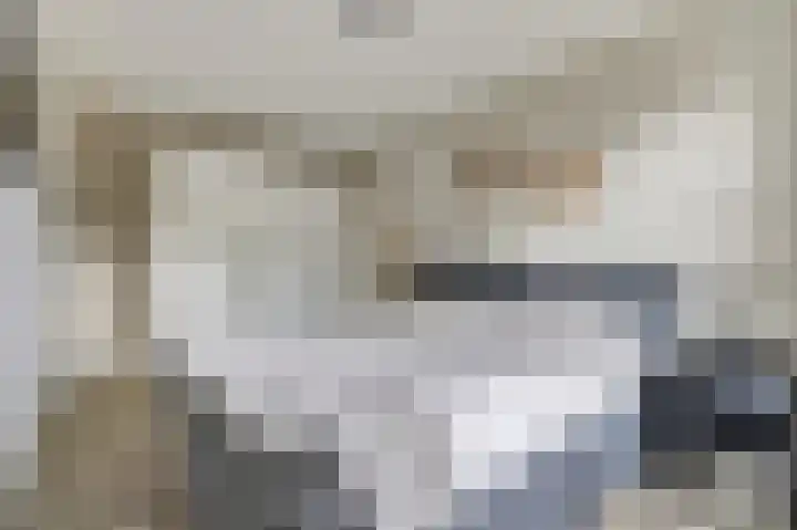 Bosbeeklaan 40 Baarlo thumbnail 21