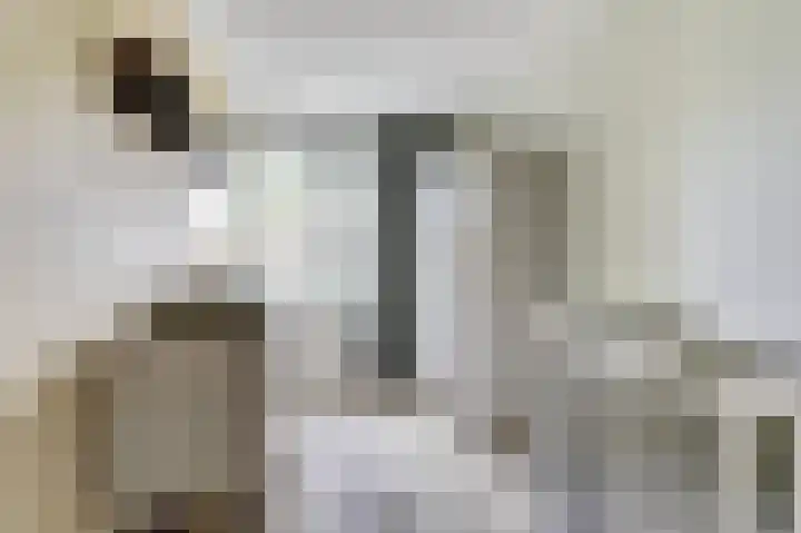 Bosbeeklaan 40 Baarlo thumbnail 22