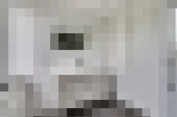 Bosbeeklaan 40 Baarlo thumbnail 24