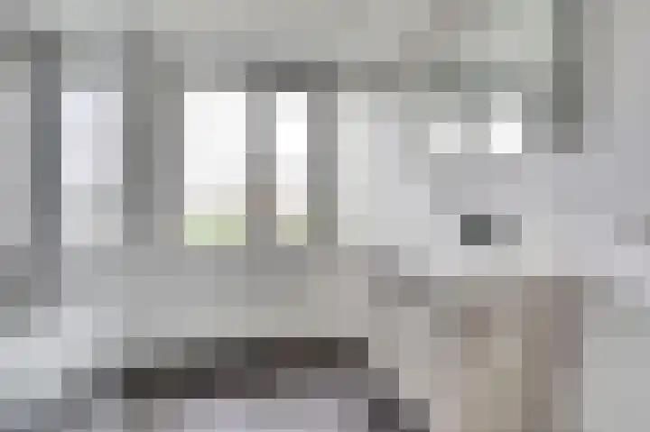Bosbeeklaan 40 Baarlo thumbnail 25