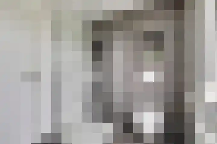 Bosbeeklaan 40 Baarlo thumbnail 27