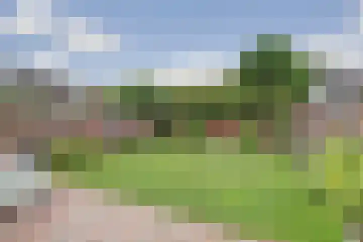 Bosbeeklaan 40 Baarlo thumbnail 30
