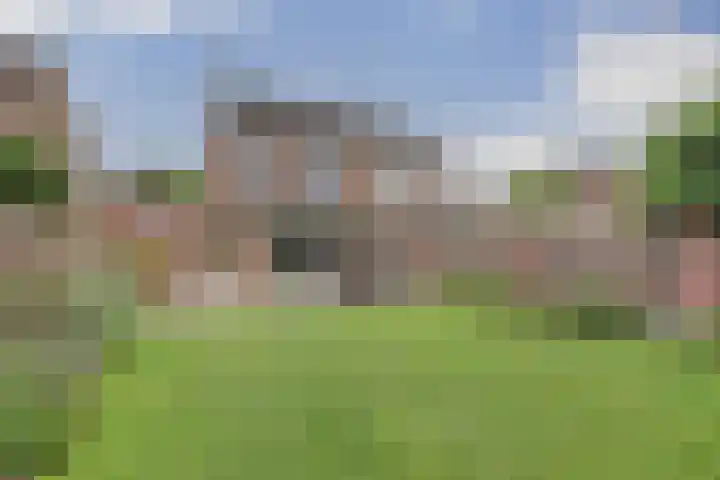Bosbeeklaan 40 Baarlo thumbnail 31
