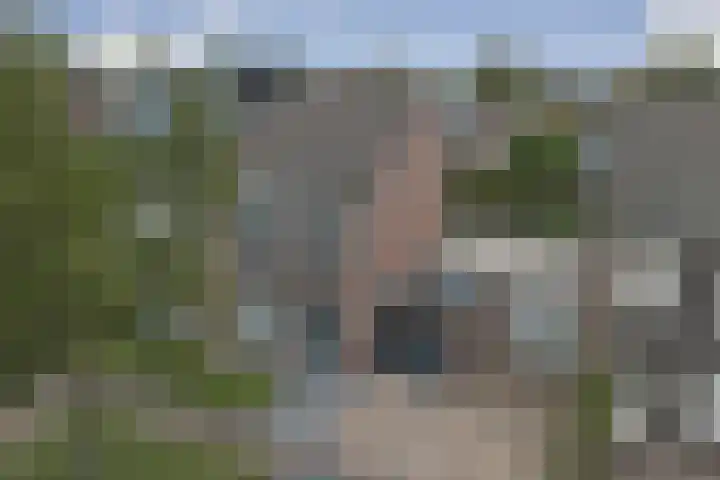 Bosbeeklaan 40 Baarlo thumbnail 34