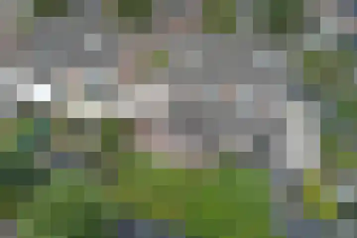 Bosbeeklaan 40 Baarlo thumbnail 37
