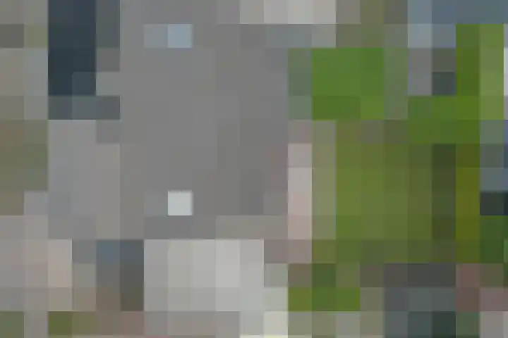 Bosbeeklaan 40 Baarlo thumbnail 38