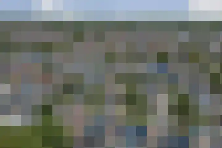 Bosbeeklaan 40 Baarlo thumbnail 40