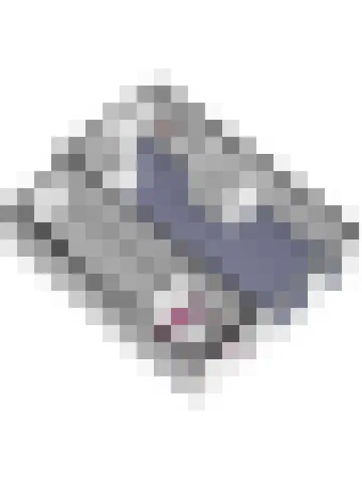 Bosbeeklaan 40 Baarlo thumbnail 42