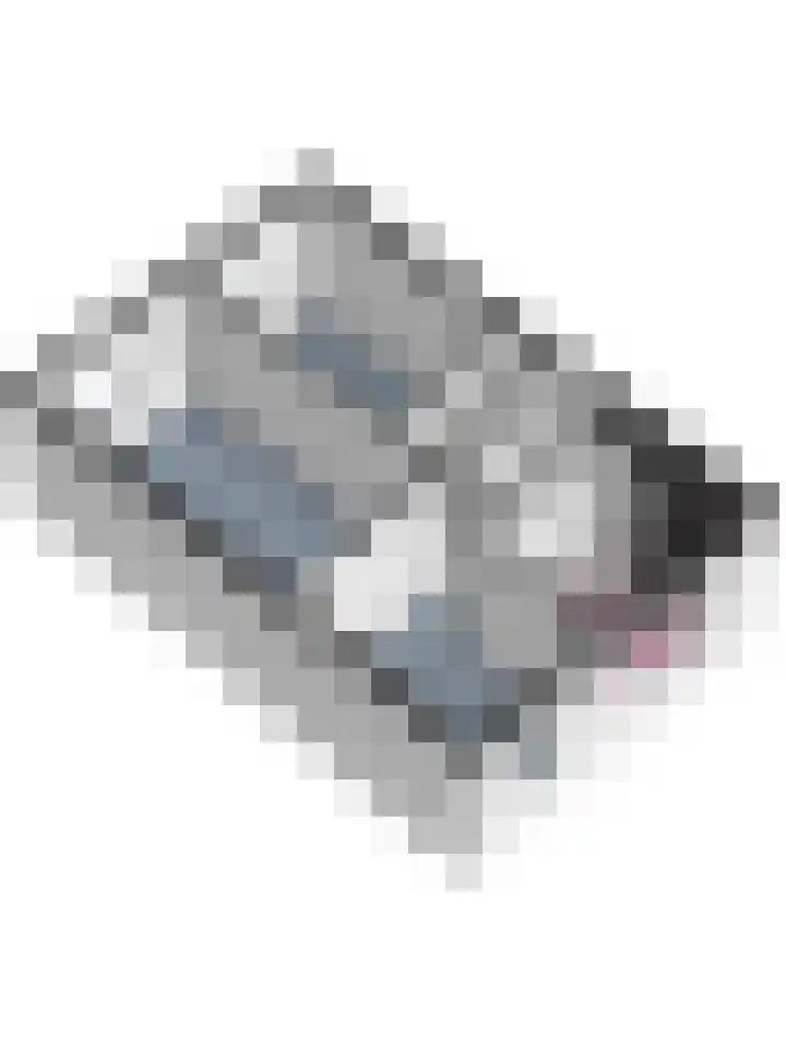 Bosbeeklaan 40 Baarlo thumbnail 44