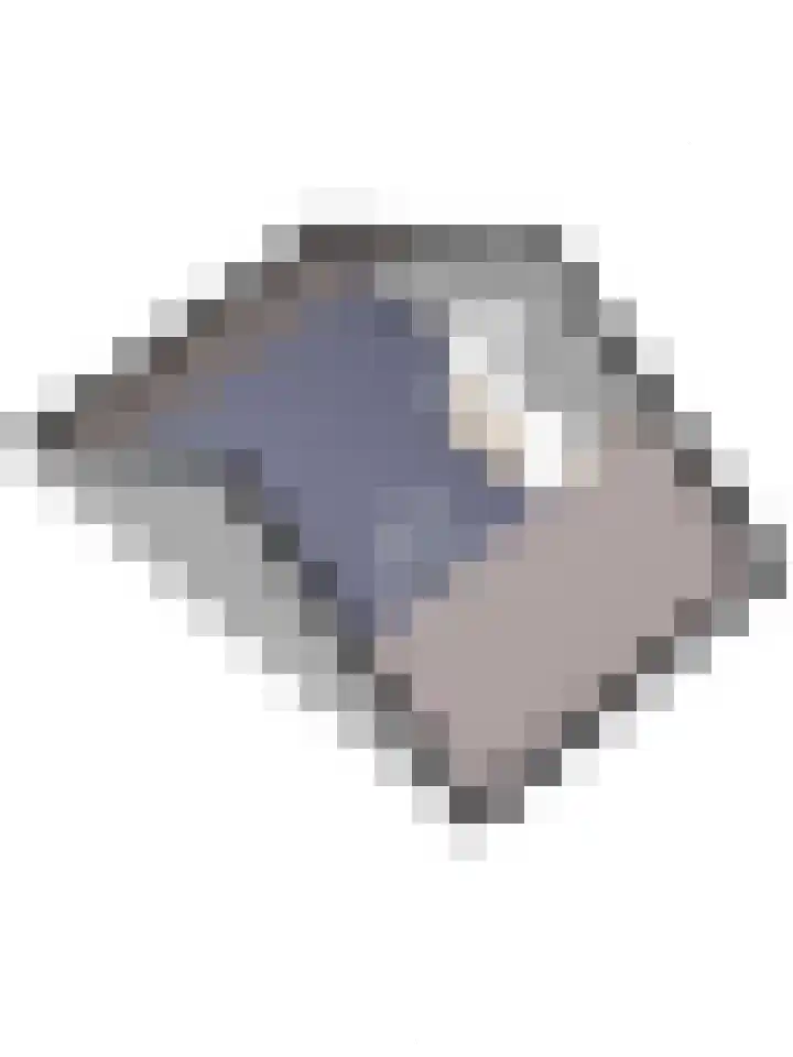 Bosbeeklaan 40 Baarlo thumbnail 46