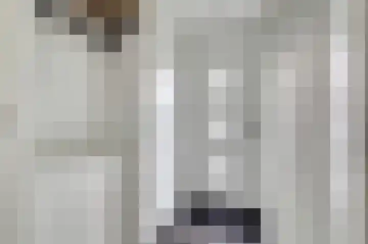 Bosbeeklaan 40 Baarlo thumbnail 5