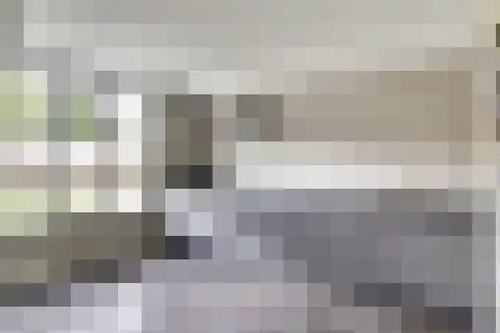 Bosbeeklaan 40 Baarlo thumbnail 6