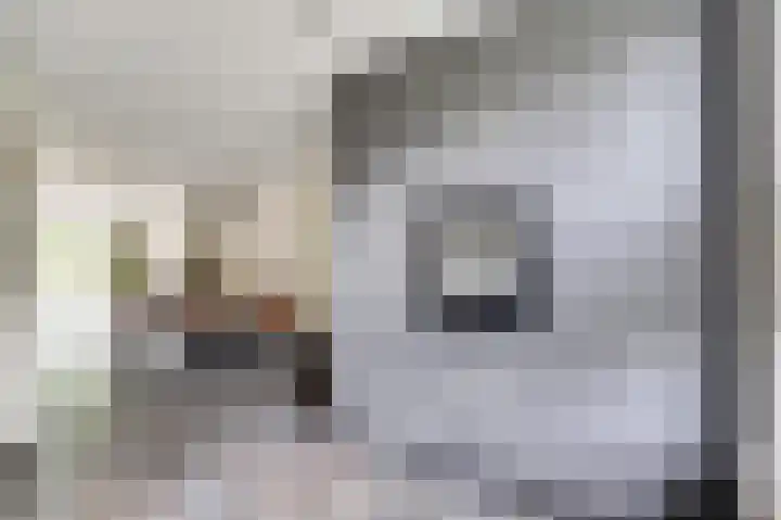 Bosbeeklaan 40 Baarlo thumbnail 8