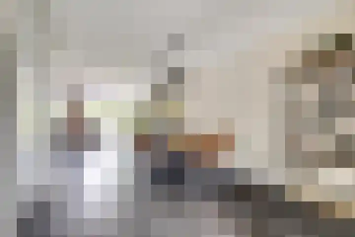 Bosbeeklaan 40 Baarlo thumbnail 9